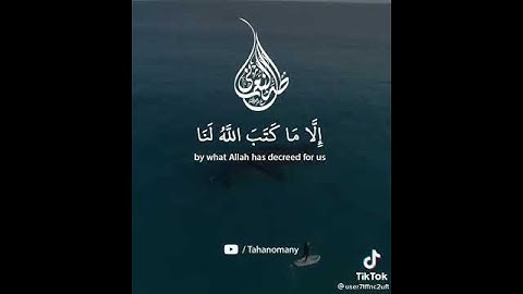 سورة التوبة بصوت جميل اية:51