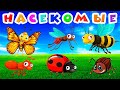 Насекомые для малышей 🐞 Учим насекомых 🕷 Насекомые мультик 🐜 Насекомые развивающие мультики