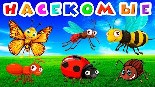 Насекомые Для Малышей 🐞 Учим Насекомых 🕷 Насекомые Мультик 🐜 Насекомые Развивающие Мультики