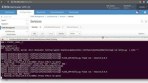 Netscaler load balancing server, service virtual server