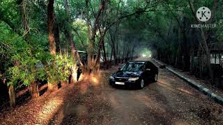 Feiyutech Vimble 2 First Shoot Hyundai Azera