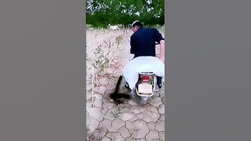 The process of fertilization = good methods can increase efficiency