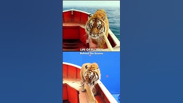 The Making of Life of Pi | Behind The Scenes Of “Life of Pi" (2012)