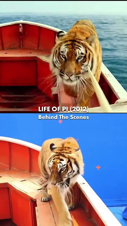 The Making of Life of Pi | Behind The Scenes Of “Life of Pi