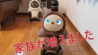 LOVOTお迎え！家族型ロボット☆出会いから１年待ったので感無量です（涙） Resimi