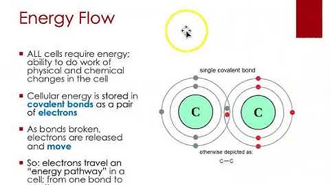 BIOL205R Microbial Metabolism Part 2 #2of4