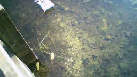 x twin hovercraft part 4 onboard cam water, off road