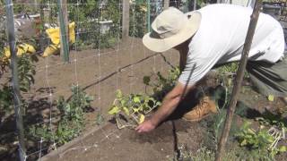 Installing TENAX Hortonova Mesh Trellis