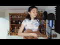 月亮代表我的心 - Teresa Teng (Cover)