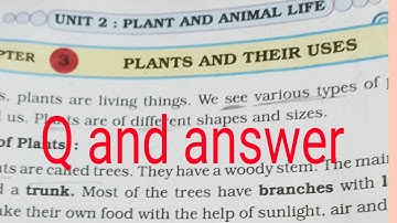 second standard EVS chapter number 3 plant their uses question answer ||HSC