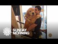 Viral pet videos that melt hearts