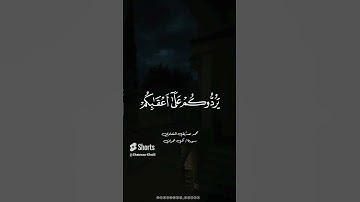روائع القارئ الشيخ محمد صديق المنشاوي، سورة آل عمران #youtube #اكسبلور #explore #قرآن #مصر #يوتيوب