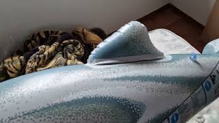Intex Inflatable Dolphin With Sph Hole From Love