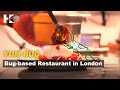 Cricket-based dishes take London by storm | Global Glimpse