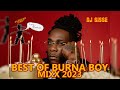 BEST OF BURNA BOY MIX 2023 - DJ SISSE | BURNA BOY | LOVE DAMINI | AFRICAN GIANT | TWICE AS TALL