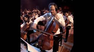 Cello-Orchester Baden-Württemberg 2023