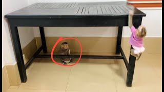 Pan-Cked Girl Jasmine Hiddent Herself Sit Under The Table After Mom Teach Her To Work