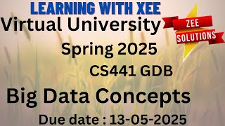 CS441 Big Data Concepts GDB Spring 2025 Virtual University of Pakistan