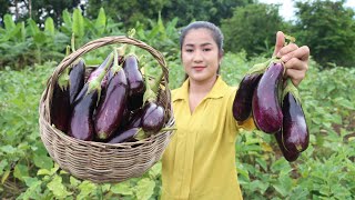 Yummy Eggplant Cooking / Eggplant Recipe / Cooking With Sreypov