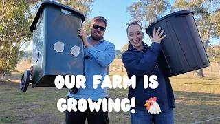 Preparing Our Farm for CHICKENS! 🐔 (Plus an Off-Grid Update)