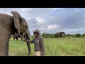 How The Jabulani Herd & Wild Elephants Sleep | Senior Carer, Owen Dube