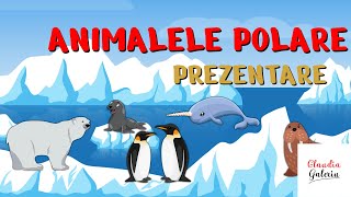 Animalele Polare Animale Polare Intelesul Copiilor Cunoasterea Mediului Curiozitati Animale