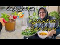 ولاگ روزمرگی پخت غذای آخر خوشمزه صحبت های شبی بابا روزمرگی خانواده آشپزی ولاگ غذا 