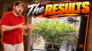 What a DIFFERENCE a week makes!  |  Spider Farmer GGS System