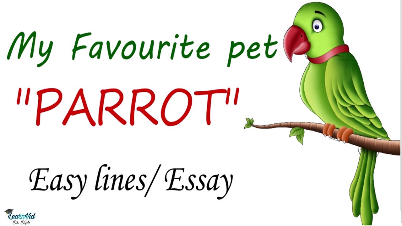 my favourite animal parrot essay in english