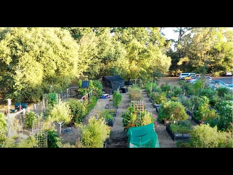 Video: Desafío de jardinería de invierno: motivación para la jardinería en invierno