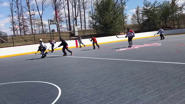 Loudoun Inline 1