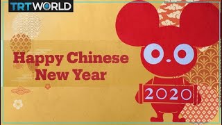 Here’s everything you need to know about the chinese new year - how
it’s celebrated, history, and what animals represent.#chinese
#spring f...