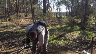 PROSPECTING,  Gold near Maryborough Victoria July 2020.  Video 1.