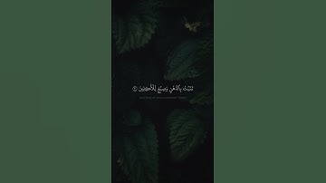 وَشَجَرَةࣰ تَخۡرُجُ مِن طُورِ سَیۡنَاۤءَ | محمد صديق المنشاوي | سورة المؤمنون