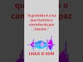 Exercícios para Ativar a Gratidão Diária  #prosperidadedivina #puxãodeenergiavendas #puxãodeenergia