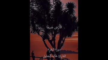 ما تيسر من سورة البقرة  بصوت الشيخ خالد الجليل