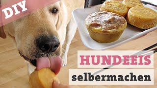 DIY Hundeeis mit Leber & Pfirsich – Eis für den Hund selber machen