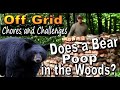 Off Grid Chores and Challenges.  Does a Bear POOP IN THE WOODS?  A Backwoods Living Vlog #158