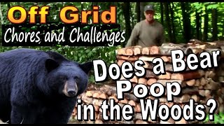 Off Grid Chores and Challenges.  Does a Bear POOP IN THE WOODS?  A Backwoods Living Vlog #158 by OFF GRID HOMESTEADING With The Boss Of The Swamp 18,738 views 8 months ago 12 minutes, 37 seconds