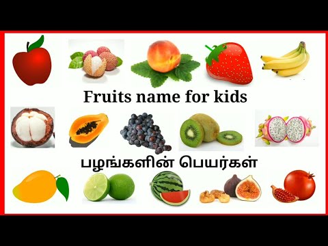 FRUITS NAME  FRUITS NAME IN ENGLISHSPELLING  FLASHCARDS  TAMIL FRUITS NAME  