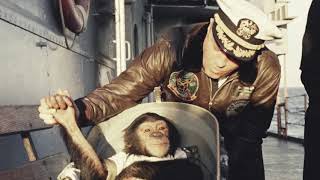 HAM was the first chimp in space, 1961