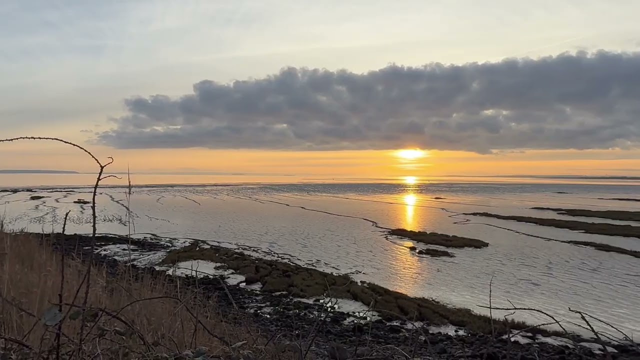 Newport Wetlands late afternoon walk