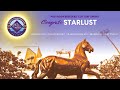 2024 Prevagen Breeders Cup Turf Sprint Starlust 2024 Prevagen Breeders Cup Turf Sprint Starlust