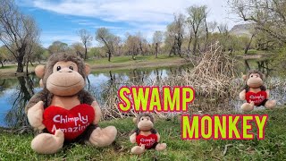 The monkey was drowned in the swamp, we saved him, did he become beautiful?asmr asmr