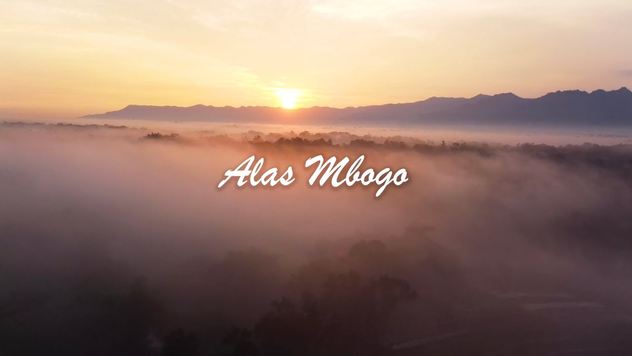 Desa Binaan CSR Bank Jateng : Alas Mbogo Wonogiri