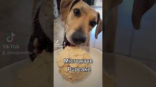 Microwave  Birthday Pupcake