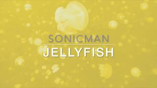 Sonicman - JELLYFISH (Official Music Video)