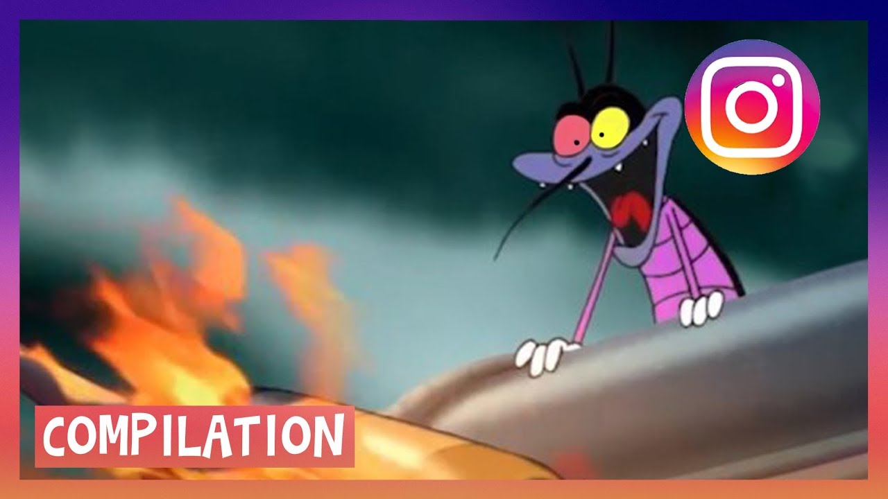 new cartoons for kids Oggy And The Cockroaches 💙 New Episode Best Collection 2017 💙 #INSTAGRAM