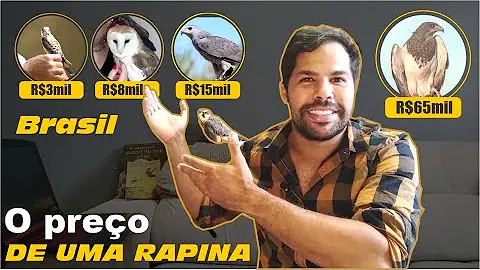 Pode criar harpia?