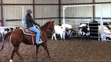 Ole Colonel Jackie  - just for fun, 1 man sorting competition 1/3/12 - Valley View Ranch